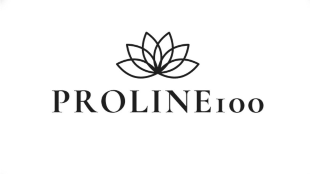 Digital Products Shop - Proline100
